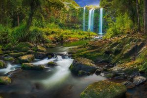 Whangarei Falls