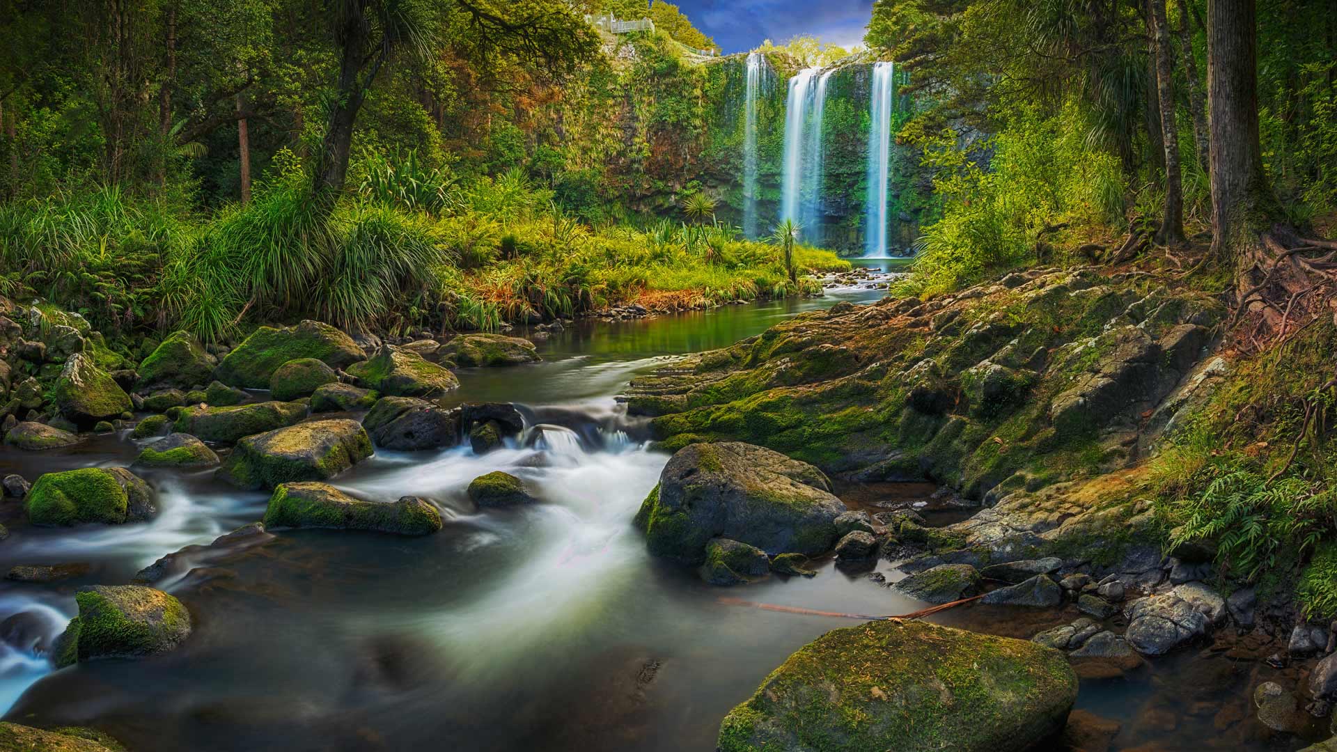 Whangarei Falls