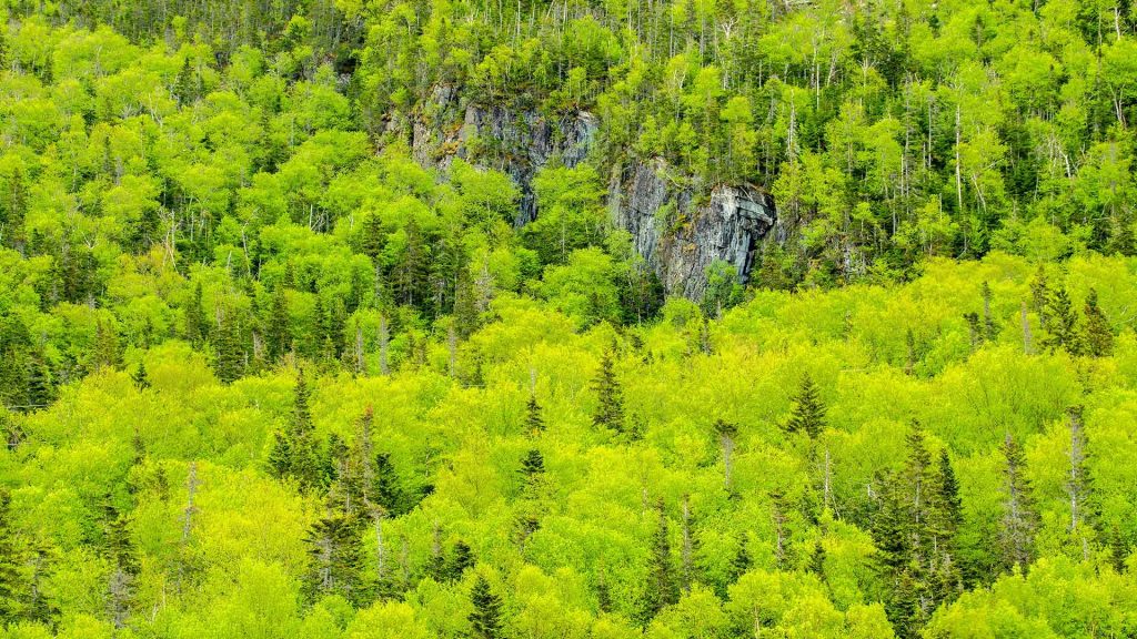 Gros Morne NP