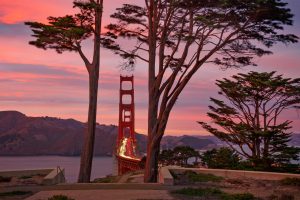 Marin Headlands