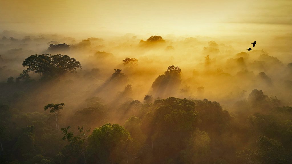 Amazonian Ecuador