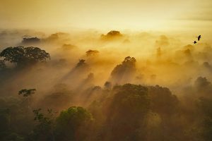 Amazonian Ecuador