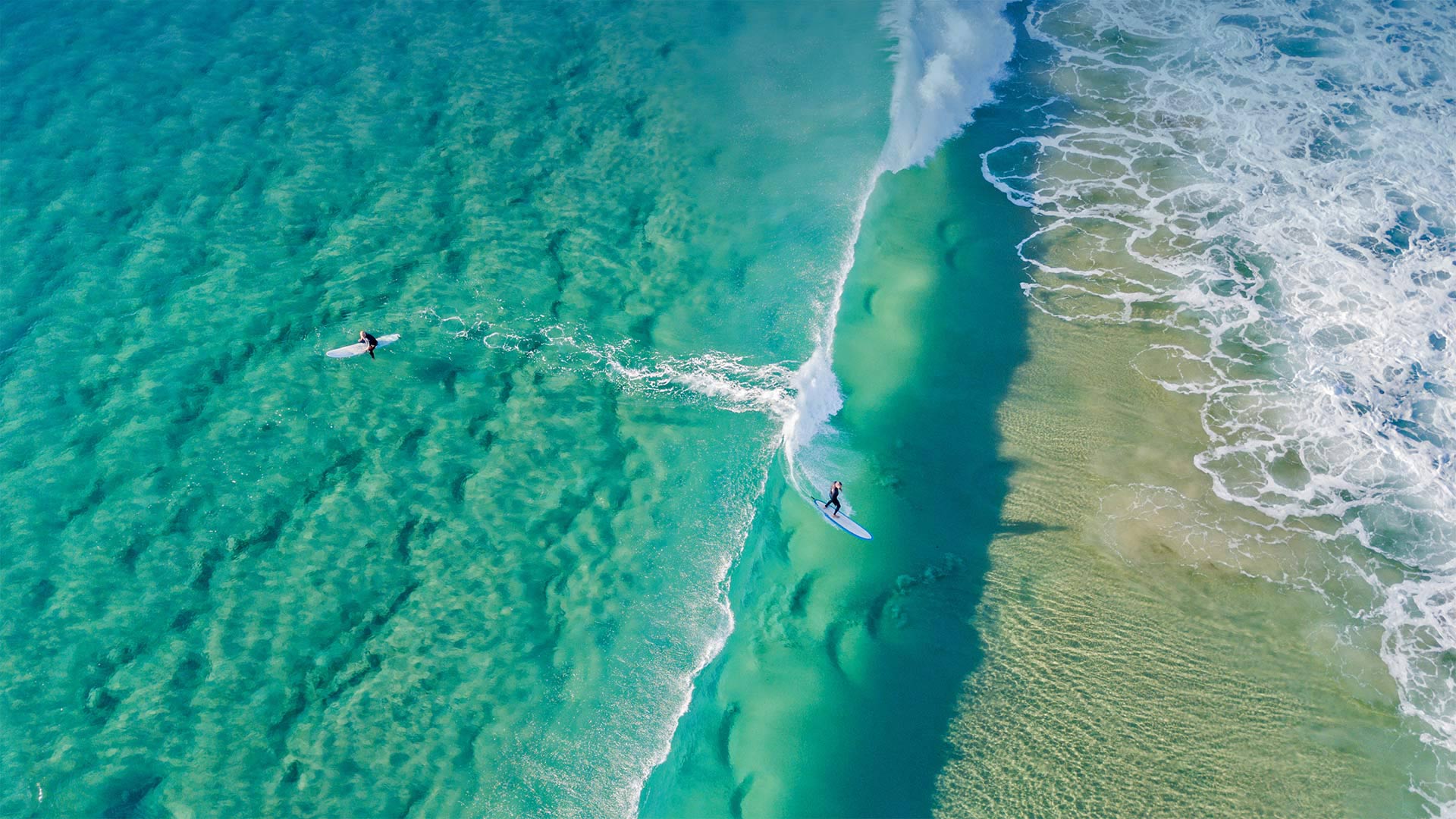 Celebrating Surfing