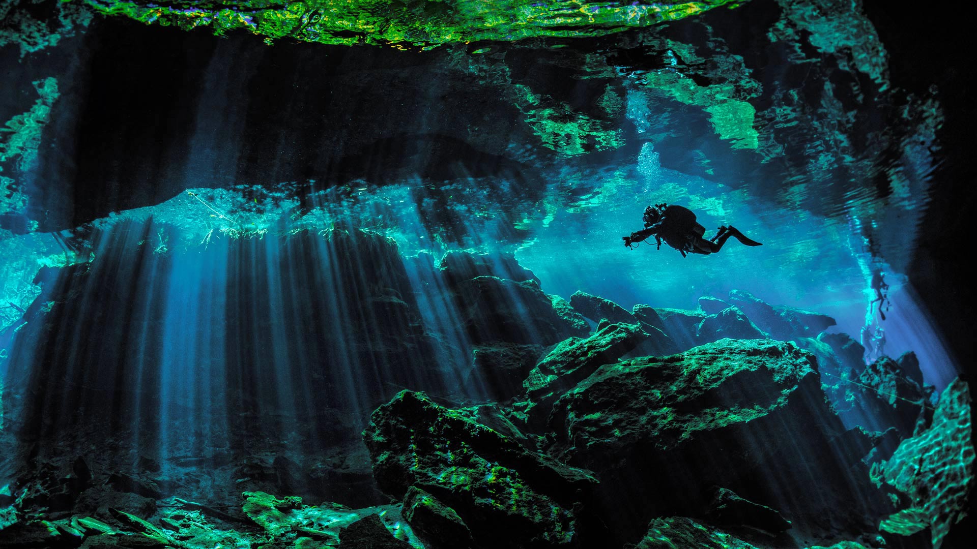 Cenote Diver