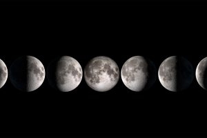 Moon Phases