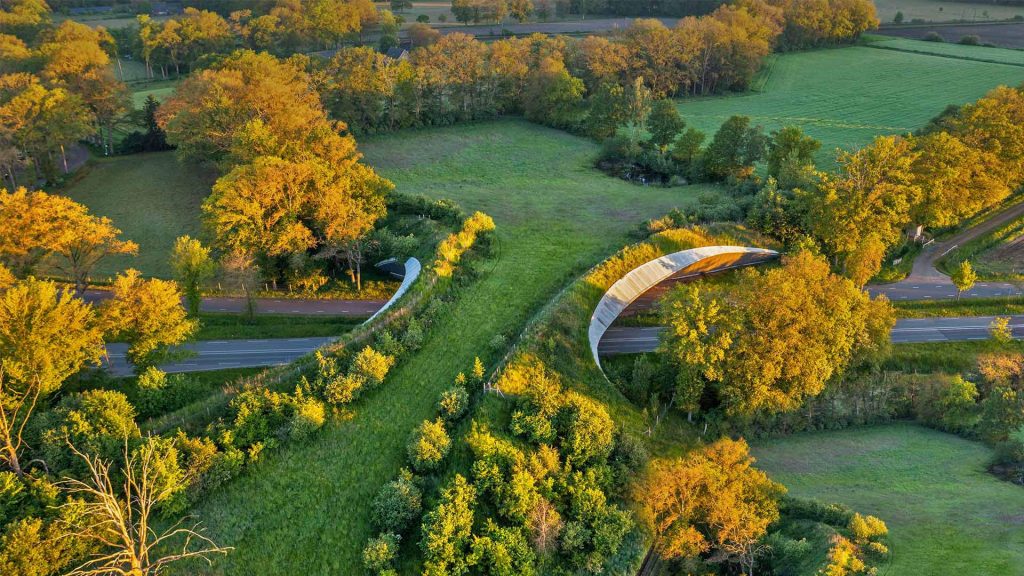 Wildlife Crossing