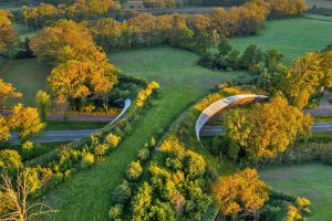 Wildlife Crossing