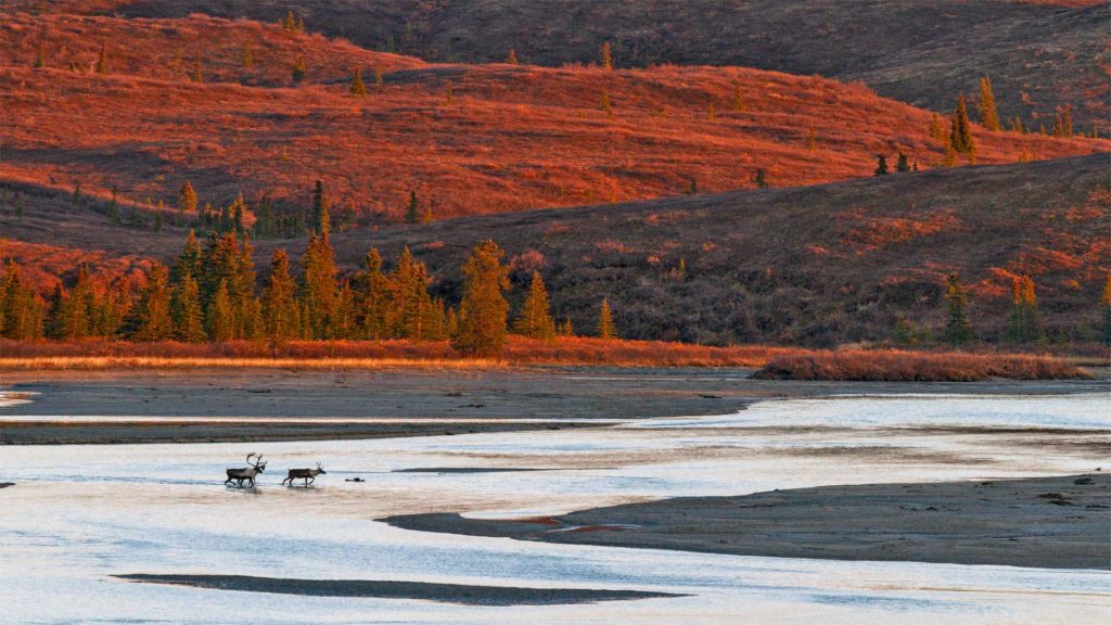 Susitna River