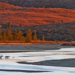 Susitna River