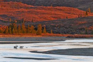 Susitna River