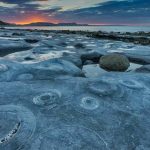 Ammonite Graveyard