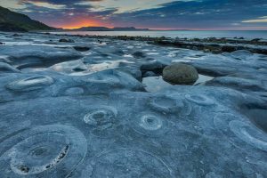 Ammonite Graveyard