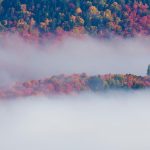 Tremblant Foliage