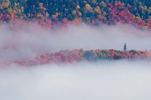 Tremblant Foliage