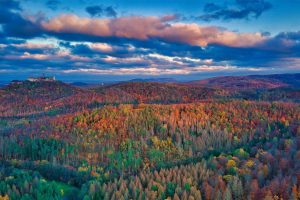 Wartburg Castle