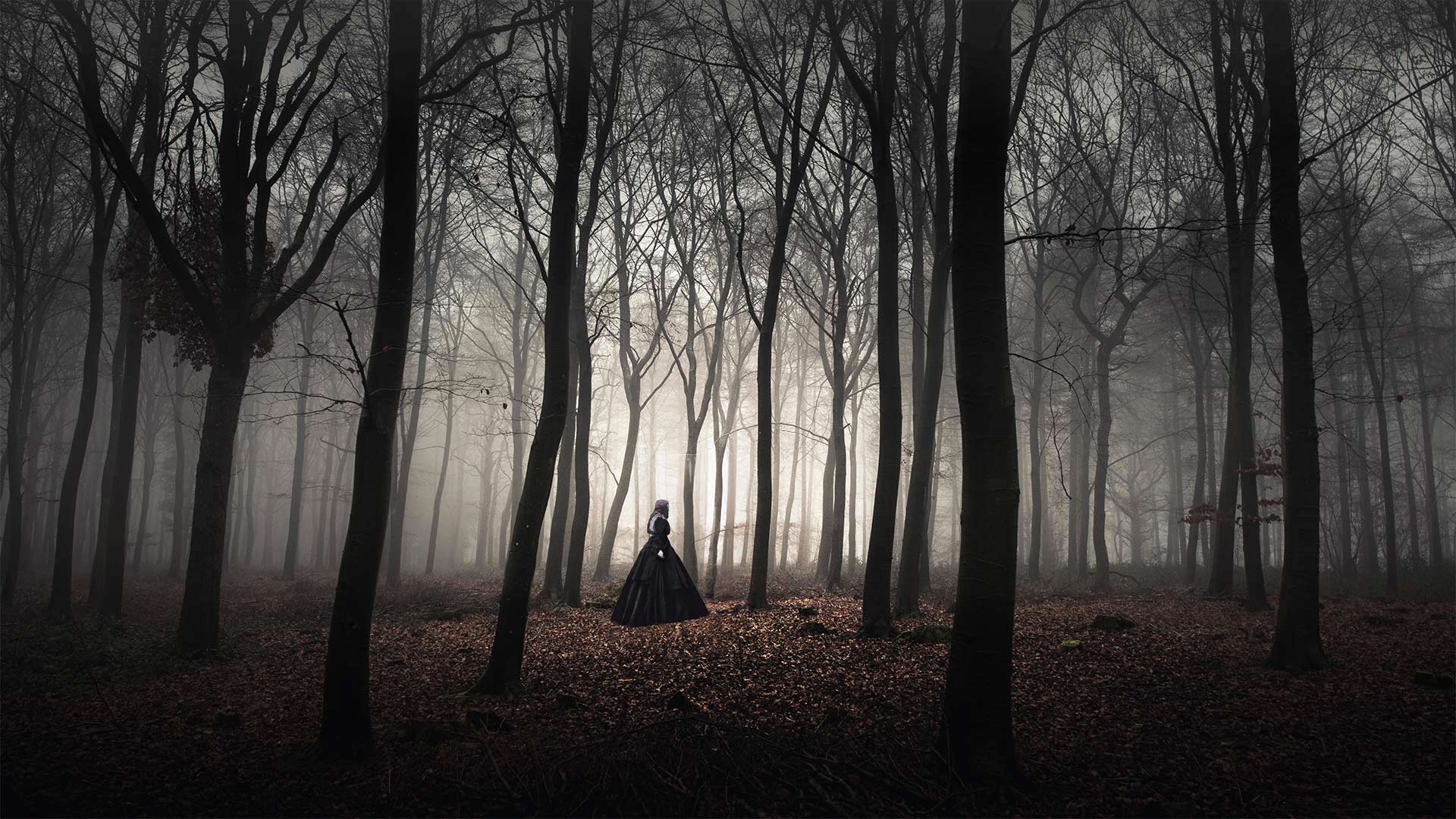 Wychwood Forest Bing Wallpaper Download Wychwood Forest Bing Wallpaper Download