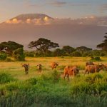 Amboseli Bioshere