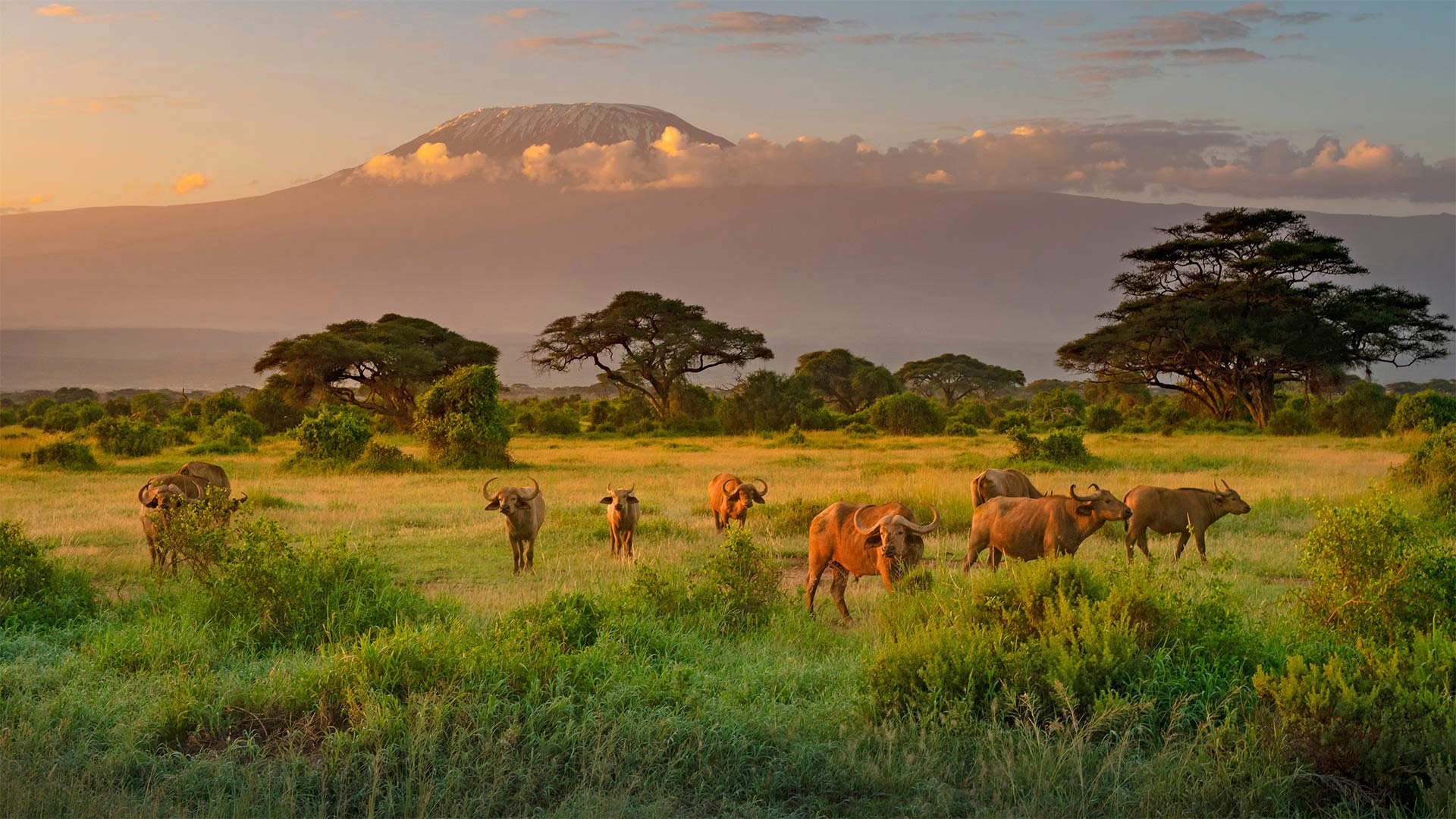 Amboseli Bioshere