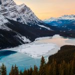 Peyto Ice