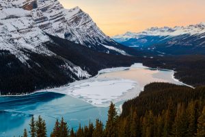 Peyto Ice