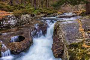 Punch Bowl