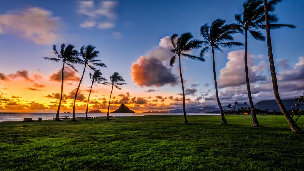 Kaneohe HI