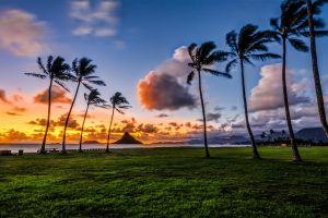 Kaneohe HI