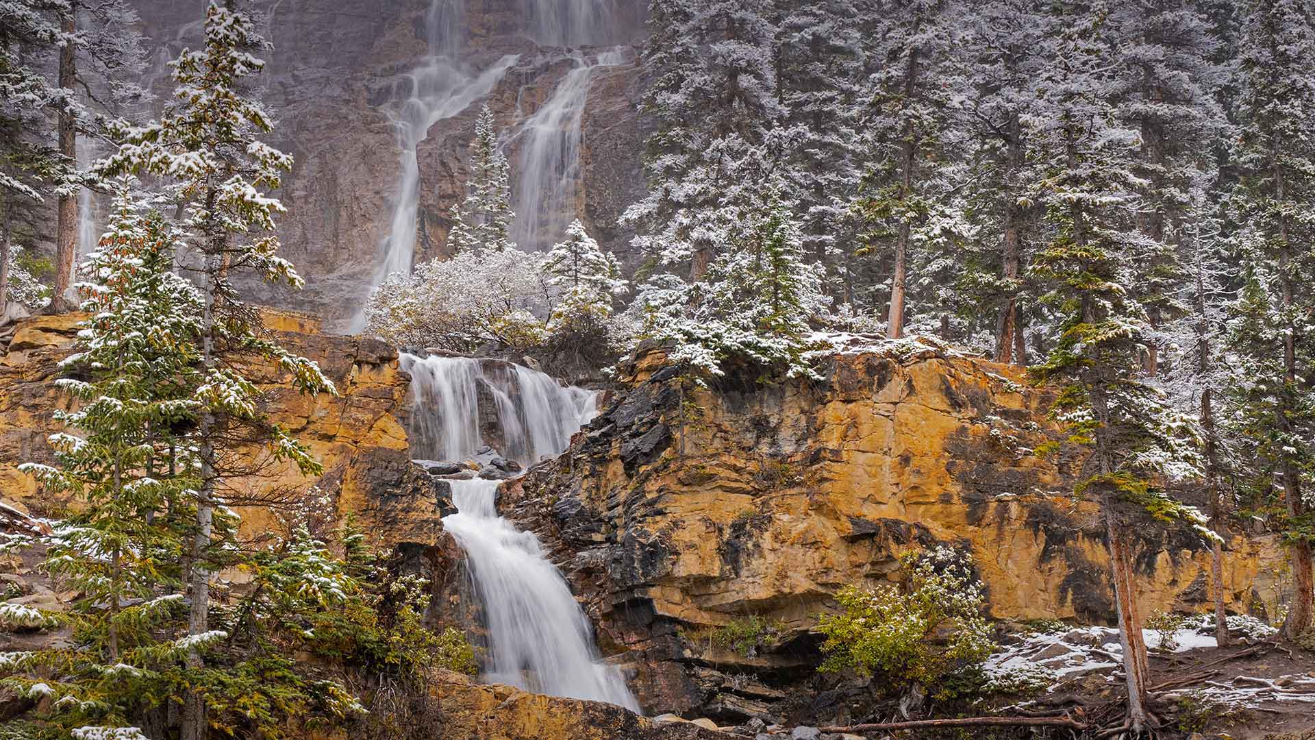 Tangle Creek Falls