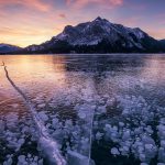 Frozen Bubbles Alberta