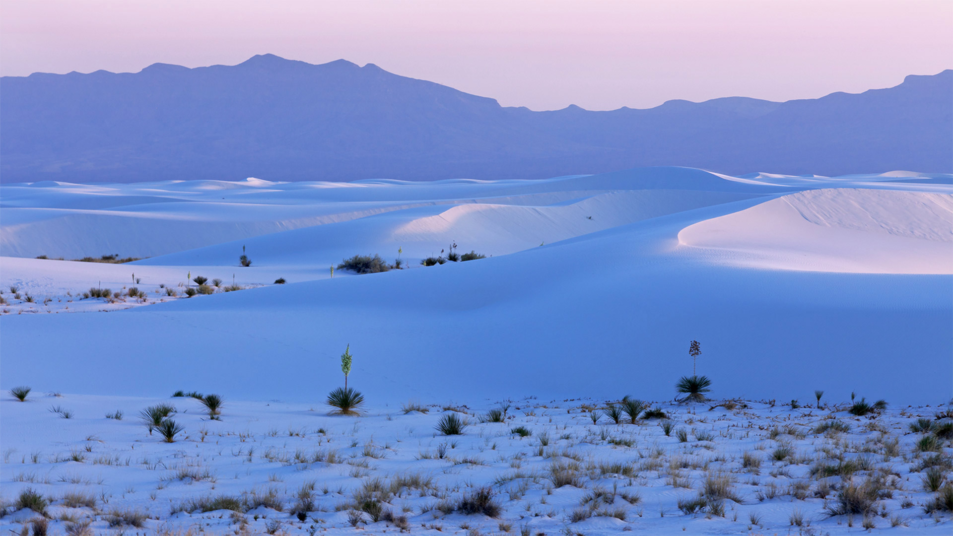 White Sands