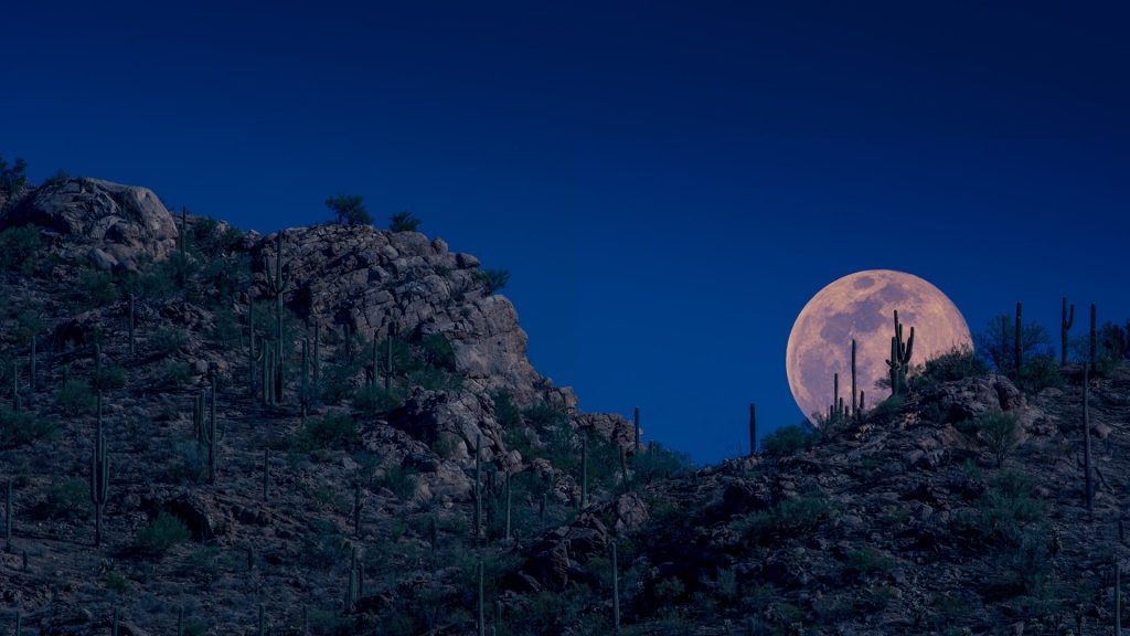 Arizona Pink Moon