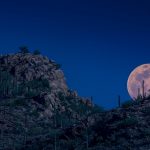 Arizona Pink Moon