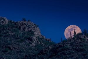 Arizona Pink Moon