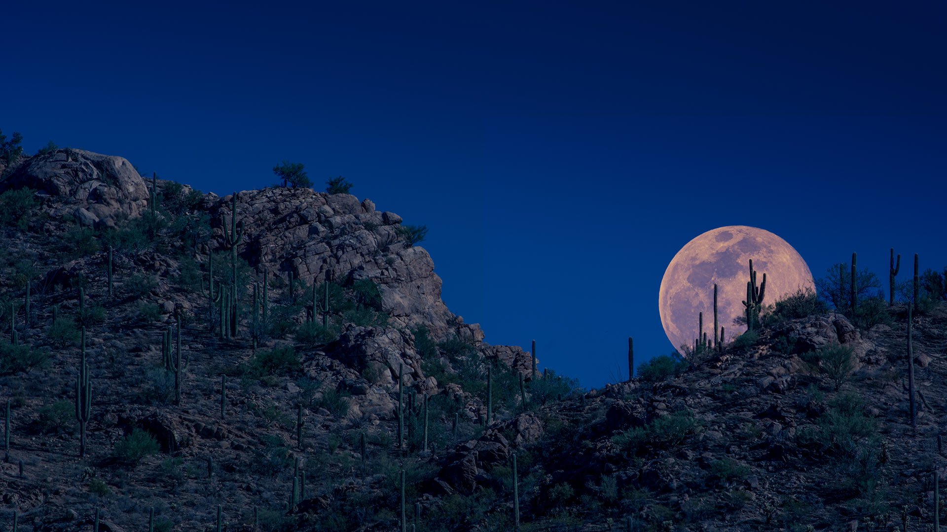 Arizona Pink Moon