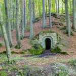 Franconian Wine Cellar