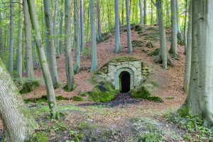 Franconian Wine Cellar