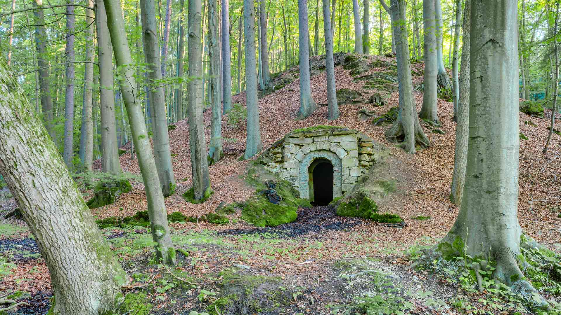 Franconian Wine Cellar