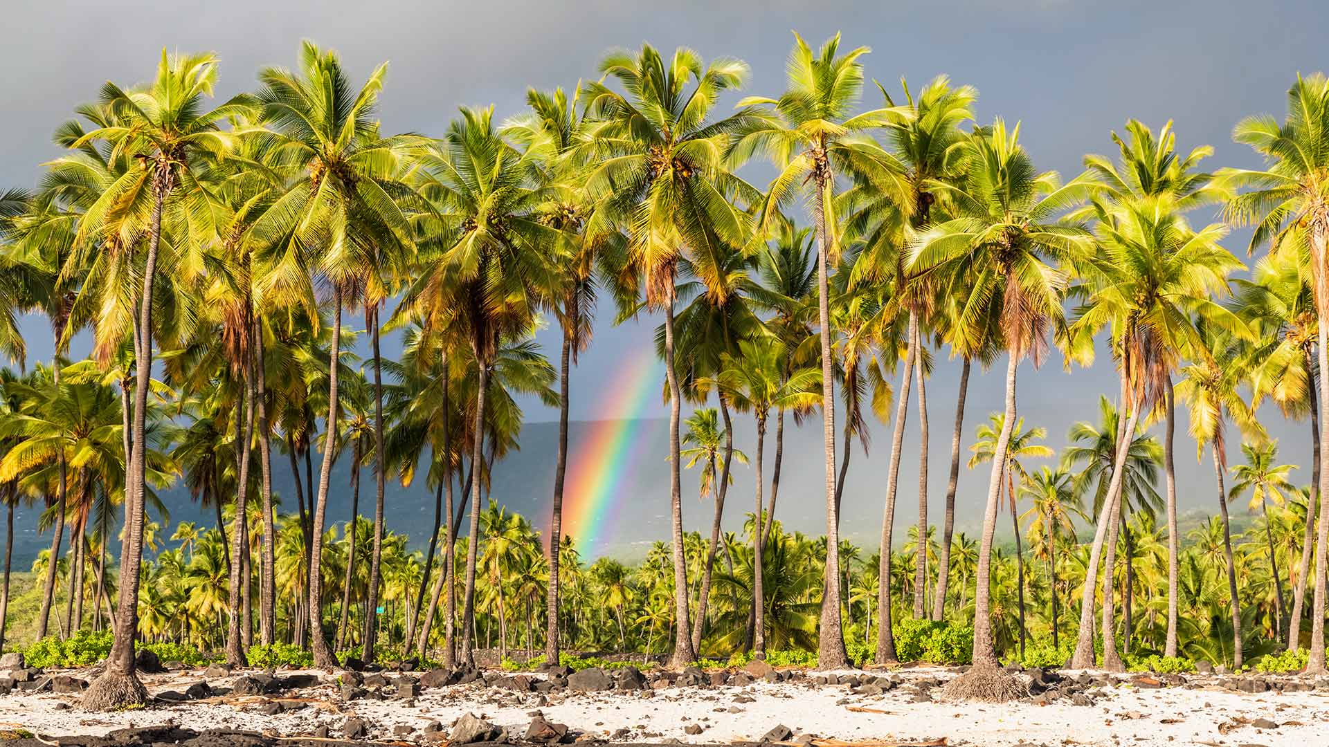 Honaunau NP