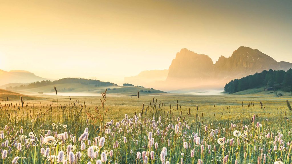 Italy Dolomites Seiser Alm