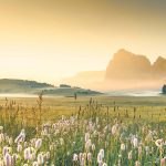 Italy Dolomites Seiser Alm