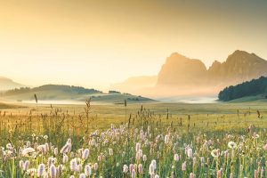 Italy Dolomites Seiser Alm