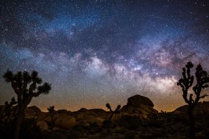 JTNP Milky Way