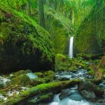 Mossy Grotto Falls