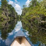 American Wetlands