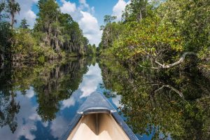 American Wetlands