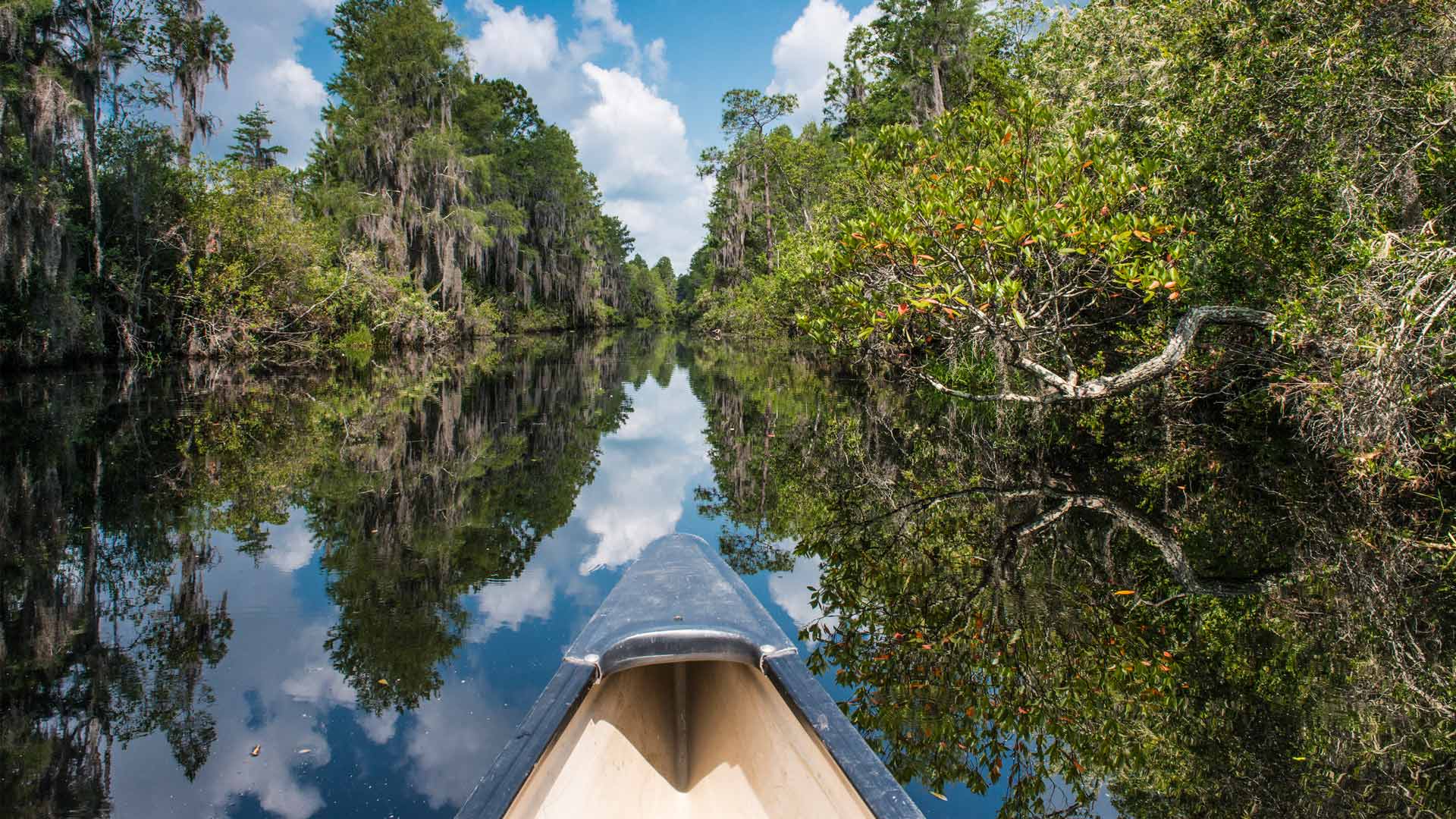 American Wetlands