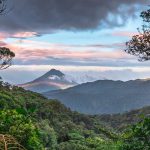 Biodiverse Costa Rica