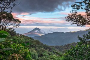 Biodiverse Costa Rica