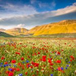 Castelluccio Umbria