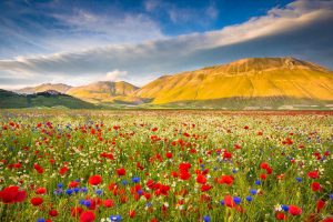 Castelluccio Umbria